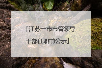 江苏一市市管领导干部任职前公示