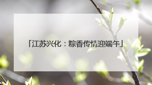 江苏兴化：粽香传情迎端午