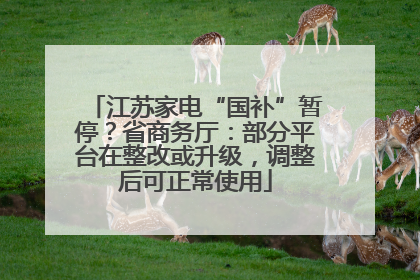 江苏家电“国补”暂停？省商务厅：部分平台在整改或升级，调整后可正常使用