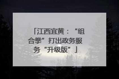 江西宜黄：“组合拳”打出政务服务“升级版”