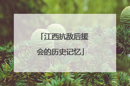 江西抗敌后援会的历史记忆