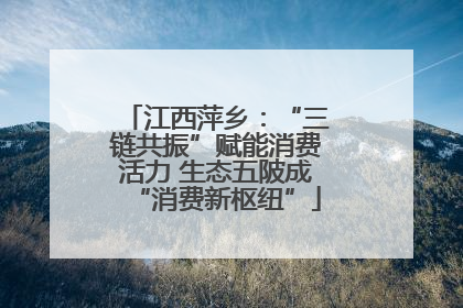 江西萍乡：“三链共振”赋能消费活力 生态五陂成“消费新枢纽”