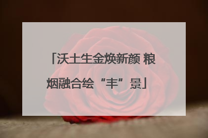沃土生金焕新颜 粮烟融合绘“丰”景