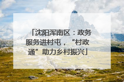 沈阳浑南区：政务服务进村屯，“村政通”助力乡村振兴