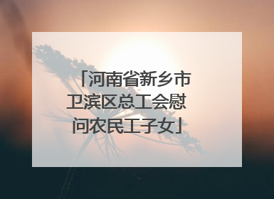 河南省新乡市卫滨区总工会慰问农民工子女