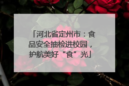 河北省定州市：食品安全抽检进校园，护航美好“食”光