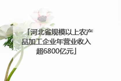 河北省规模以上农产品加工企业年营业收入超6800亿元