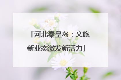 河北秦皇岛：文旅新业态激发新活力