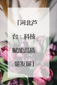 河北芦台：科技赋能高质量发展