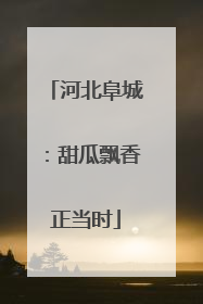 河北阜城：甜瓜飘香正当时