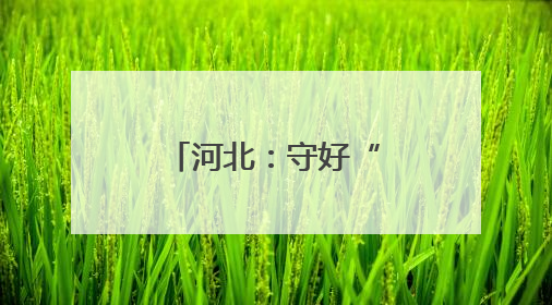 河北：守好“饭碗田” 用好“发展地”