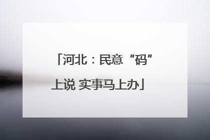 河北：民意“码”上说 实事马上办