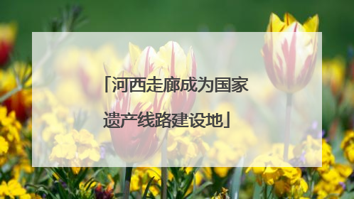 河西走廊成为国家遗产线路建设地