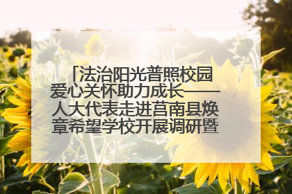 法治阳光普照校园 爱心关怀助力成长——人大代表走进莒南县焕章希望学校开展调研暨普法宣传活动