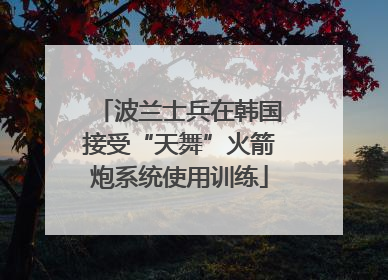 波兰士兵在韩国接受“天舞”火箭炮系统使用训练