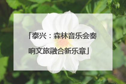 泰兴：森林音乐会奏响文旅融合新乐章