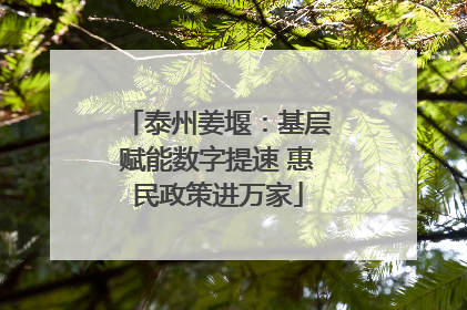 泰州姜堰：基层赋能数字提速 惠民政策进万家