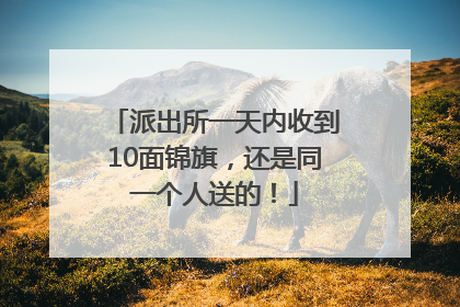 派出所一天内收到10面锦旗，还是同一个人送的！