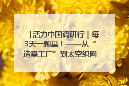 活力中国调研行｜每3天一颗星！——从“造星工厂”到太空织网的“银河速度”