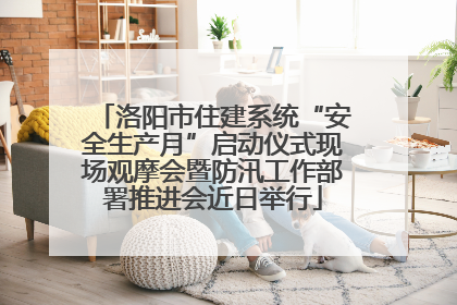 洛阳市住建系统“安全生产月”启动仪式现场观摩会暨防汛工作部署推进会近日举行