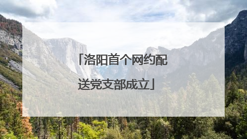 洛阳首个网约配送党支部成立