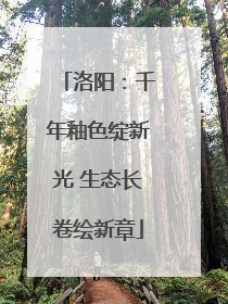 洛阳：千年釉色绽新光 生态长卷绘新章