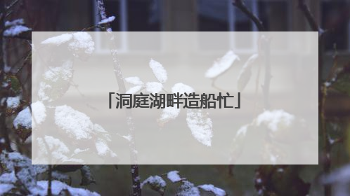 洞庭湖畔造船忙