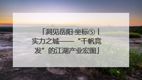 洞见岳阳·坐标⑤丨实力之城——“千帆竞发”的江湖产业宏图