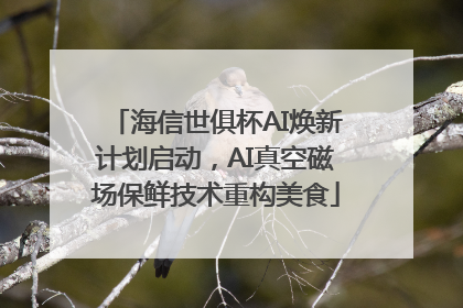 海信世俱杯AI焕新计划启动，AI真空磁场保鲜技术重构美食