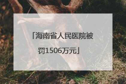 海南省人民医院被罚1506万元