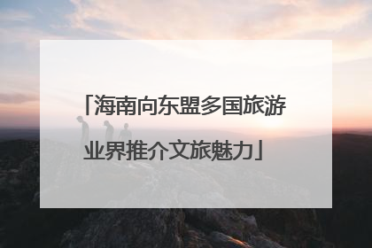 海南向东盟多国旅游业界推介文旅魅力