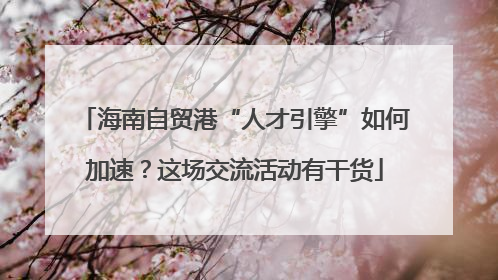 海南自贸港“人才引擎”如何加速？这场交流活动有干货