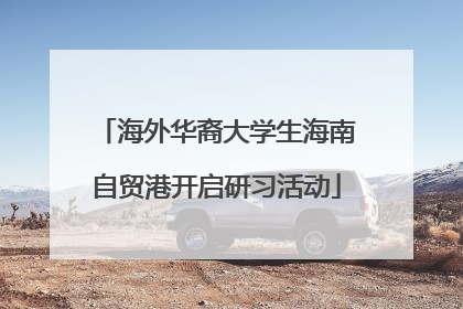 海外华裔大学生海南自贸港开启研习活动
