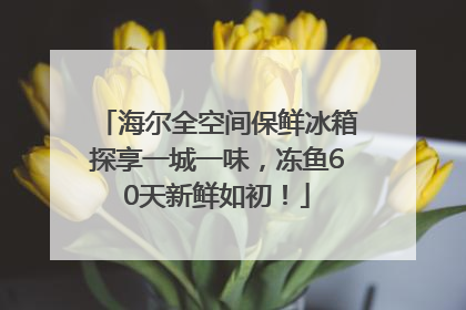 海尔全空间保鲜冰箱探享一城一味，冻鱼60天新鲜如初！
