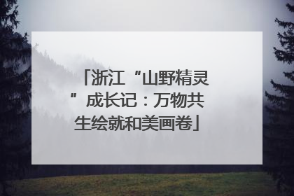 浙江“山野精灵”成长记：万物共生绘就和美画卷