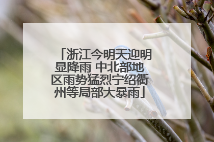 浙江今明天迎明显降雨 中北部地区雨势猛烈宁绍衢州等局部大暴雨