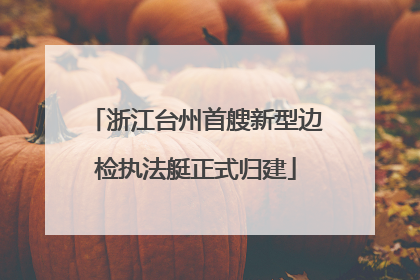 浙江台州首艘新型边检执法艇正式归建