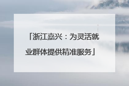 浙江嘉兴：为灵活就业群体提供精准服务