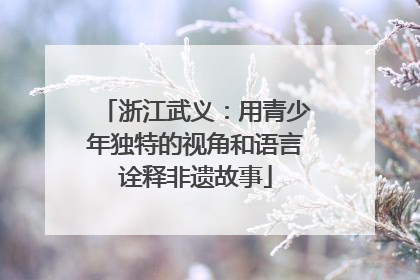 浙江武义：用青少年独特的视角和语言诠释非遗故事