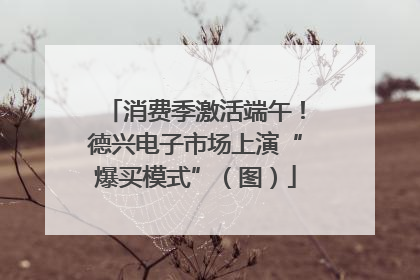 消费季激活端午！德兴电子市场上演“爆买模式”（图）