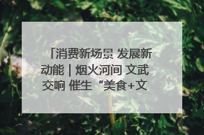 消费新场景 发展新动能｜烟火河间 文武交响 催生“美食+文化”消费新场景