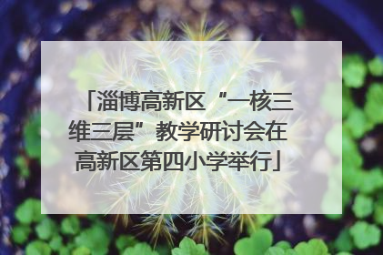 淄博高新区“一核三维三层”教学研讨会在高新区第四小学举行