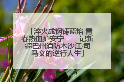淬火成钢铸蓝焰 青春热血护安宁——记新疆巴州消防木沙江·司马义的逆行人生