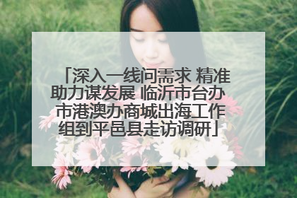 深入一线问需求 精准助力谋发展 临沂市台办 市港澳办商城出海工作组到平邑县走访调研