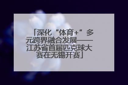 深化“体育+”多元跨界融合发展——江苏省首届匹克球大赛在无锡开赛