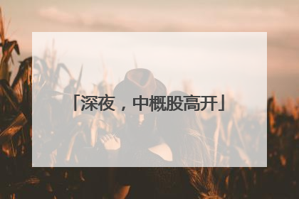 深夜，中概股高开
