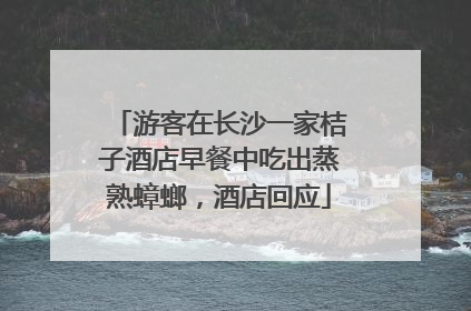 游客在长沙一家桔子酒店早餐中吃出蒸熟蟑螂，酒店回应