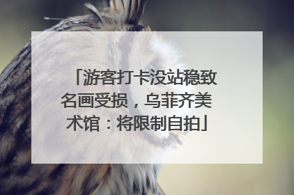 游客打卡没站稳致名画受损，乌菲齐美术馆：将限制自拍