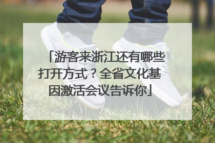 游客来浙江还有哪些打开方式？全省文化基因激活会议告诉你