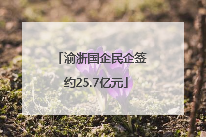 渝浙国企民企签约25.7亿元